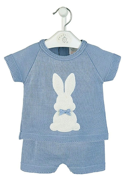 Bunny themed top and shorts blue